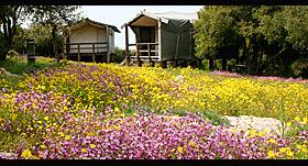 ajloun